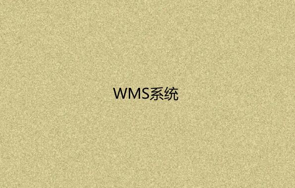 WMS系统